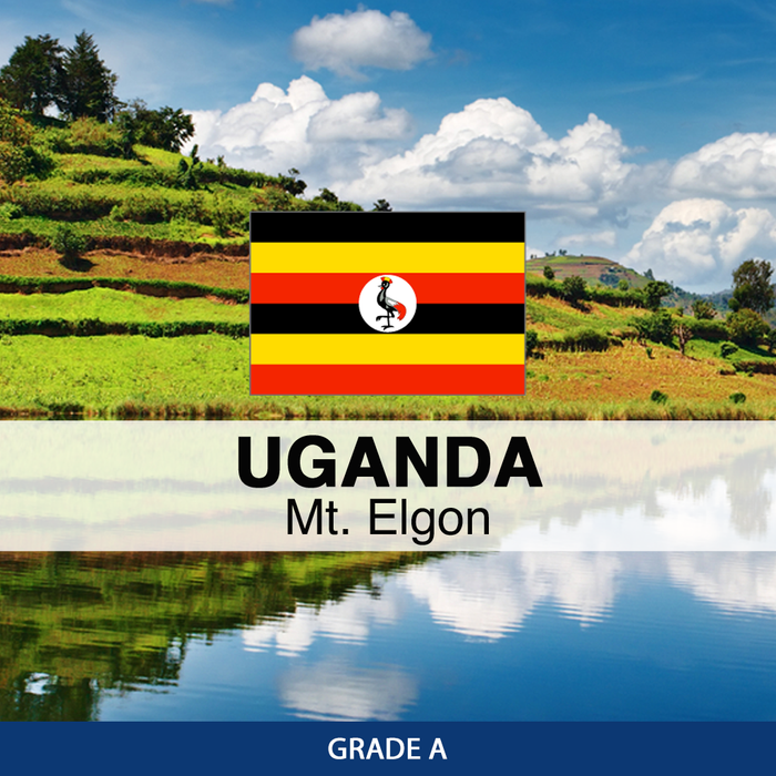 Uganda Mt. Elgon