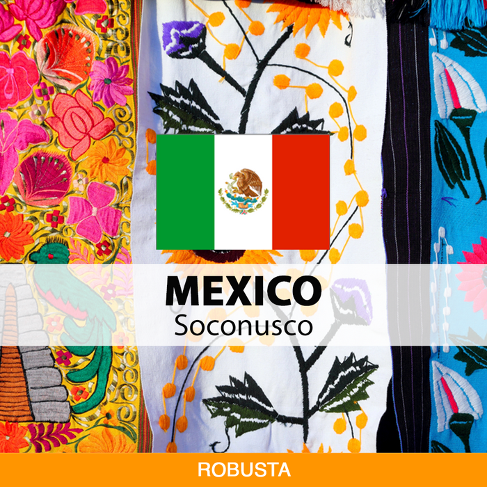 Robusta Vietnam Polished