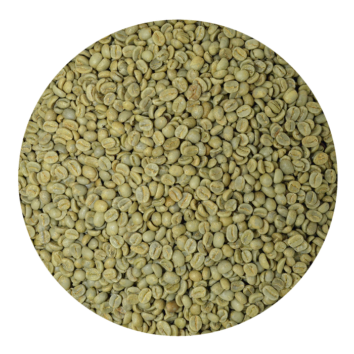 Costa Rica SHB EP Regional