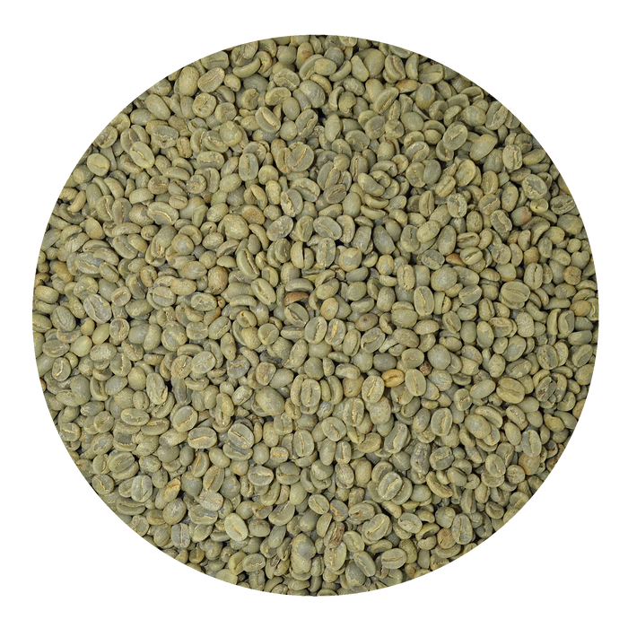 Guatemala SHB EP Huehuetenango