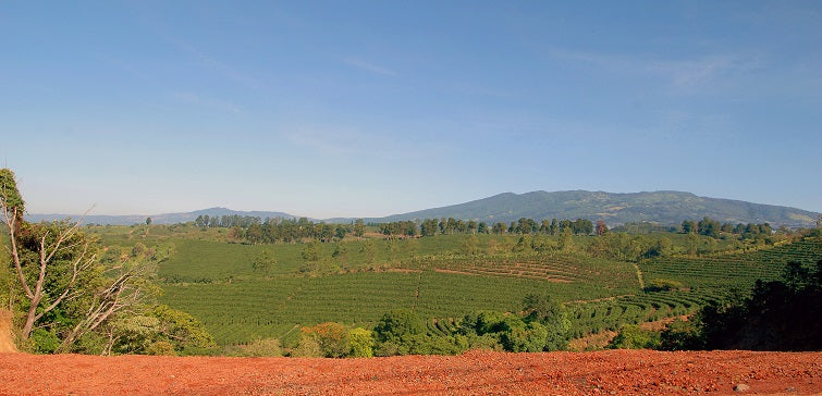 Costa Rica SHB EP Regional