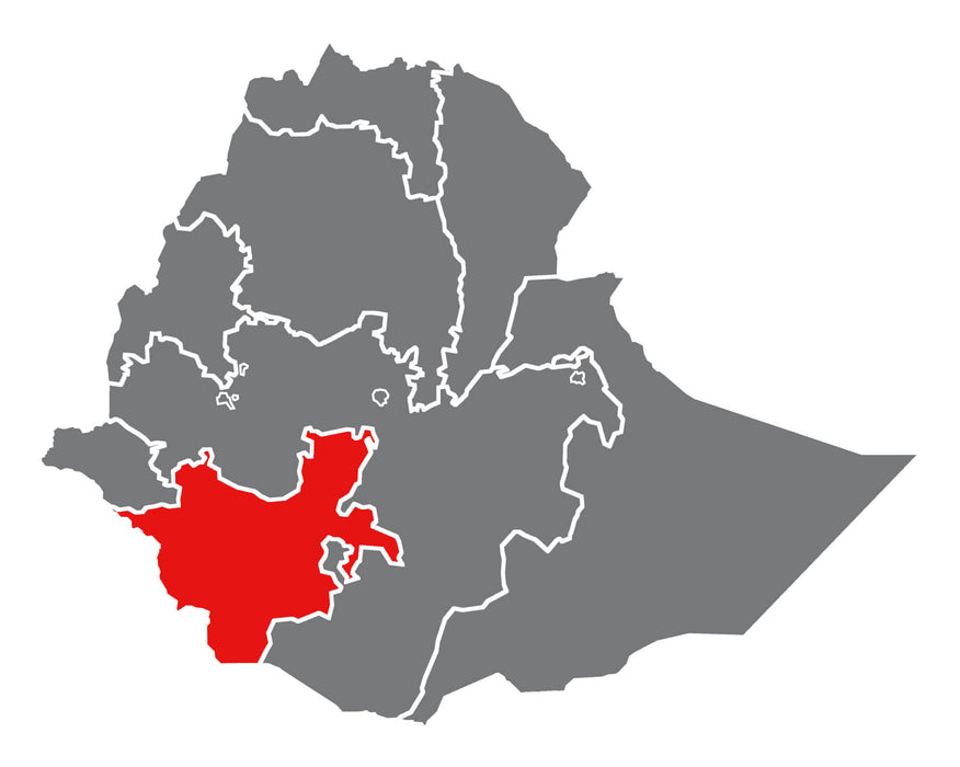 Ethiopia Yirgacheffe