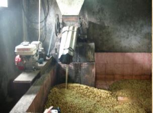 Indonesia Sumatra G1 Mandheling