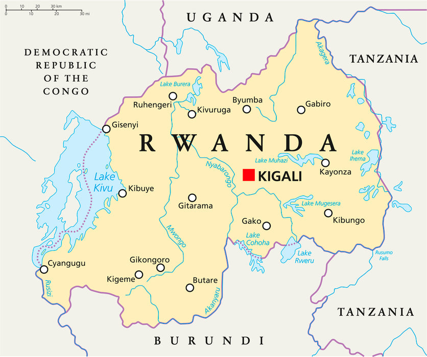 Rwanda Gitwe 179 | Micro Lot