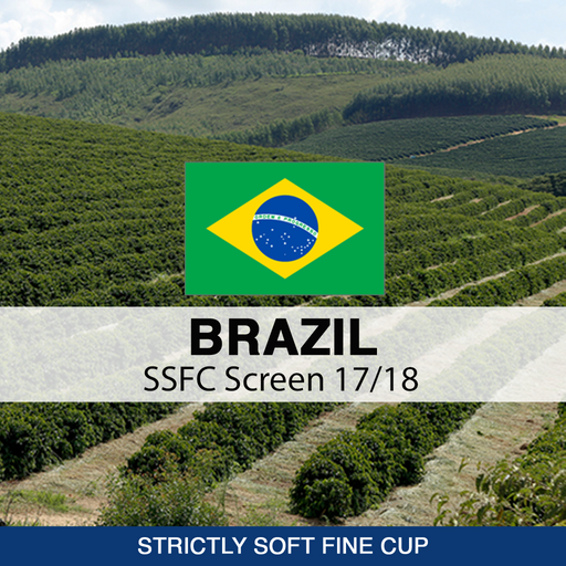 Brazil SSFC Screen 17/18