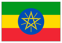 Ethiopia Washed Gr.2 Yirgacheffe [6.50/Lb.] x 132 Lbs.