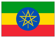 Ethiopia Natural Gr.3 Organic / RAC (GP)