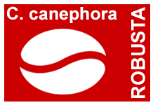 India Washed Robusta Kaapi Royal A Grade Screen 17 (ET) [5.79/Lb.] x 152 Lbs.