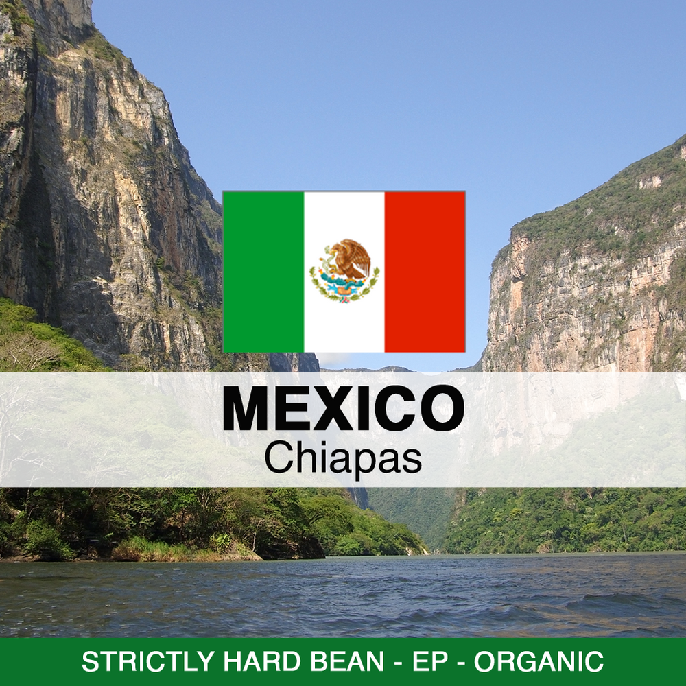 Mexico Chiapas HG EP Organic