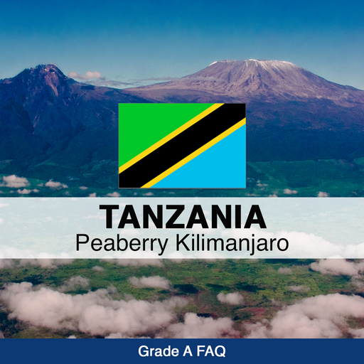Tanzania Peaberry