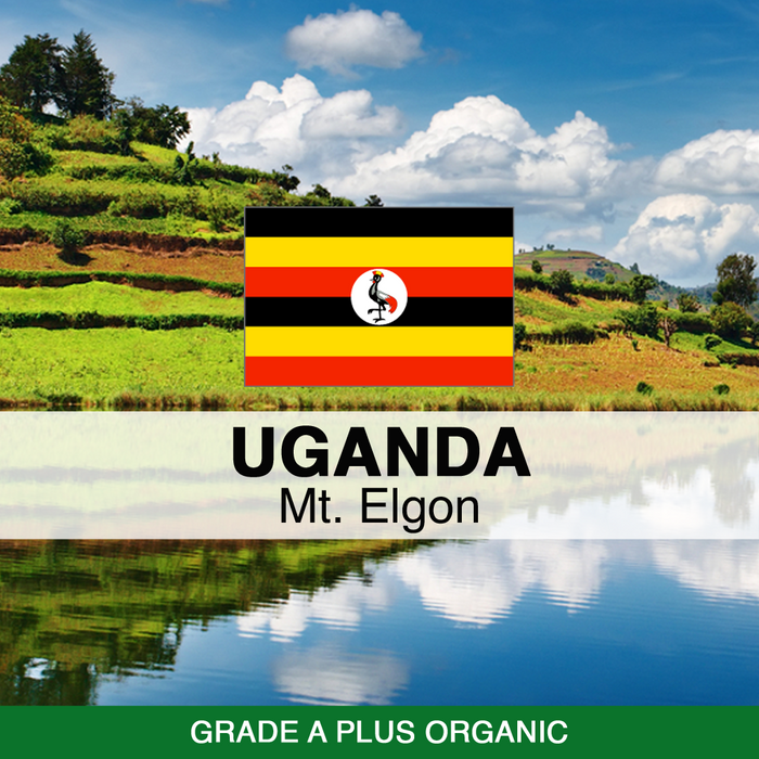 Uganda Mt. Elgon A Plus Organic